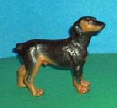 Dobermann