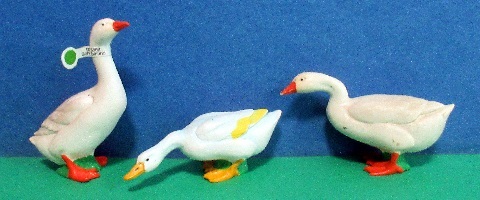 Enten und Gänse