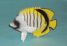 gestreifter Falterfisch
