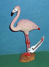 rosa Flamingo