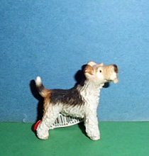 Foxterrier