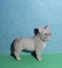 französische Bulldoggen