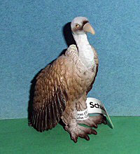 Gnsegeier