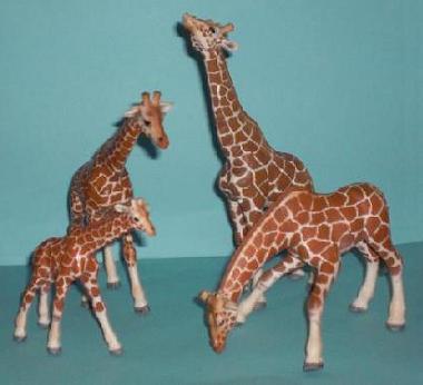 Giraffenfamilie