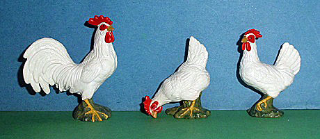weisser Hahn und Hühner