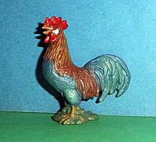 stolzer Hahn krähend