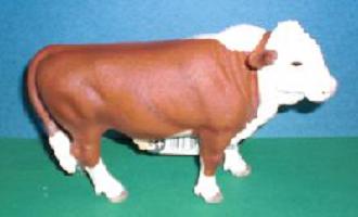 Herefordbulle