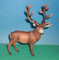 Hirsch