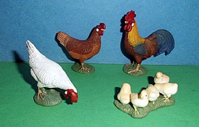 Hühnerfamilie