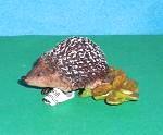 Igel