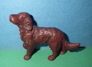 irischer Setter