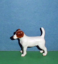 Jack Russel