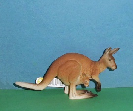 Känguruh