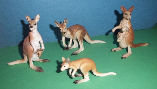 Känguruhs