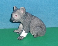 Koalabär