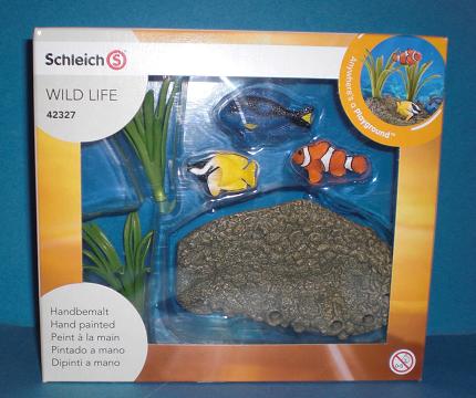 Korallenfische