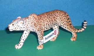 Leopard
