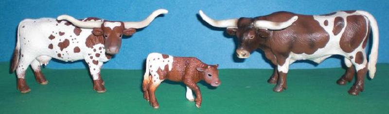 Texas Longhorn Familie