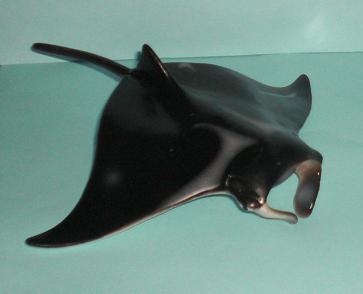 Manta 2007