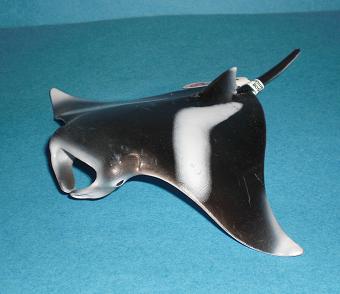 Manta 2013