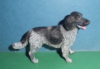 Münsterländer