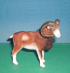 Mufflon