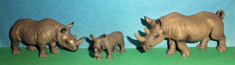 Spitzmaulnashorn