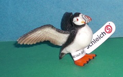Papageientaucher