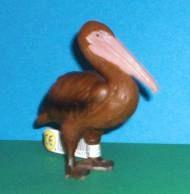 brauner Pelikan