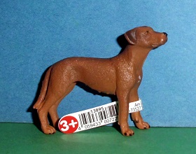 Rhodesien Ridgeback