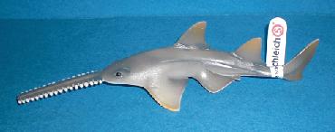 Sägefisch