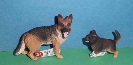 Schäferhunde