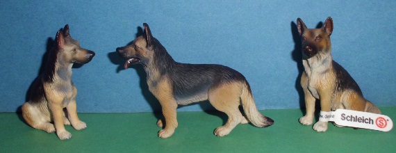 Schäferhund alt