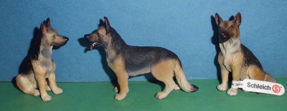 Schferhund alt