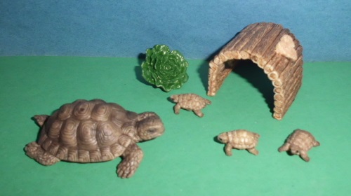 Zuhause für Schildkröten