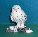Schneeeule