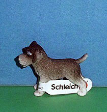 Zwergschnauzer