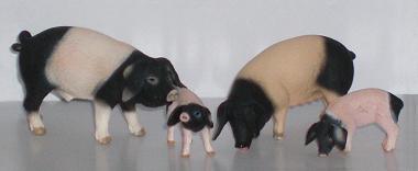 Hällische Mamasau und Ferkel