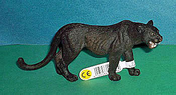 schwarzer Panther