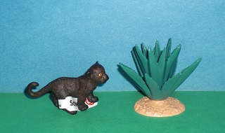 kleiner schwarzer Panther