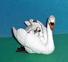 Hcker-Schwan mit Babys