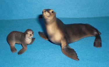Seelöwe und Baby