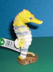Seepferdchen