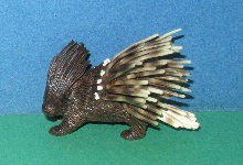 Stachelschwein