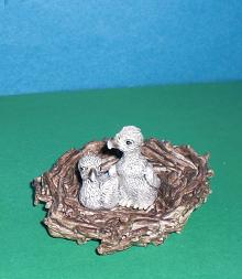 Steinadlerjunge im Nest