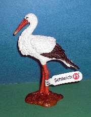 Storch
