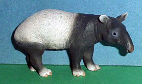 Tapir