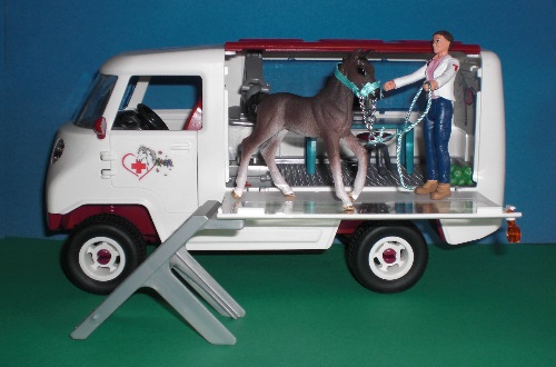 mobile Tierärztin