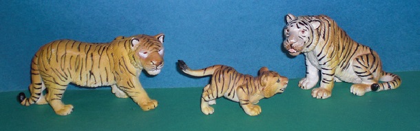 Bengal Tiger