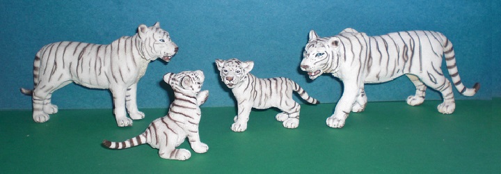 weisse Tigerfamilie
